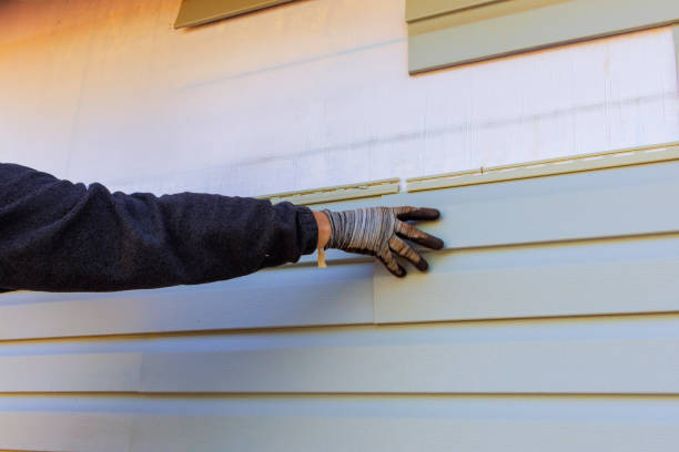 Best Custom Siding Design  in Hertford, NC